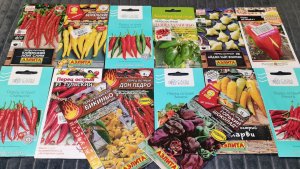 Семена на 2026 год для урожайного огорода в деревне перцы острые и так много!