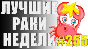 ЛРН выпуск №255 🤪 ОГНЕМЁТНЫЙ ХИТРЕЦ и КОЛЕСНЫЙ ШУТ [Лучшие Раки Недели]