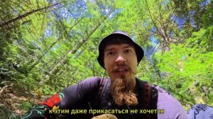 Впервые собираю грибы в горах Адыгеи