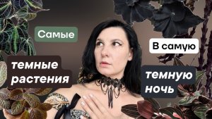 Новая подборка темных растений в самые темные ночи.