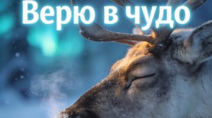 StereoTania - Верю в чудо!