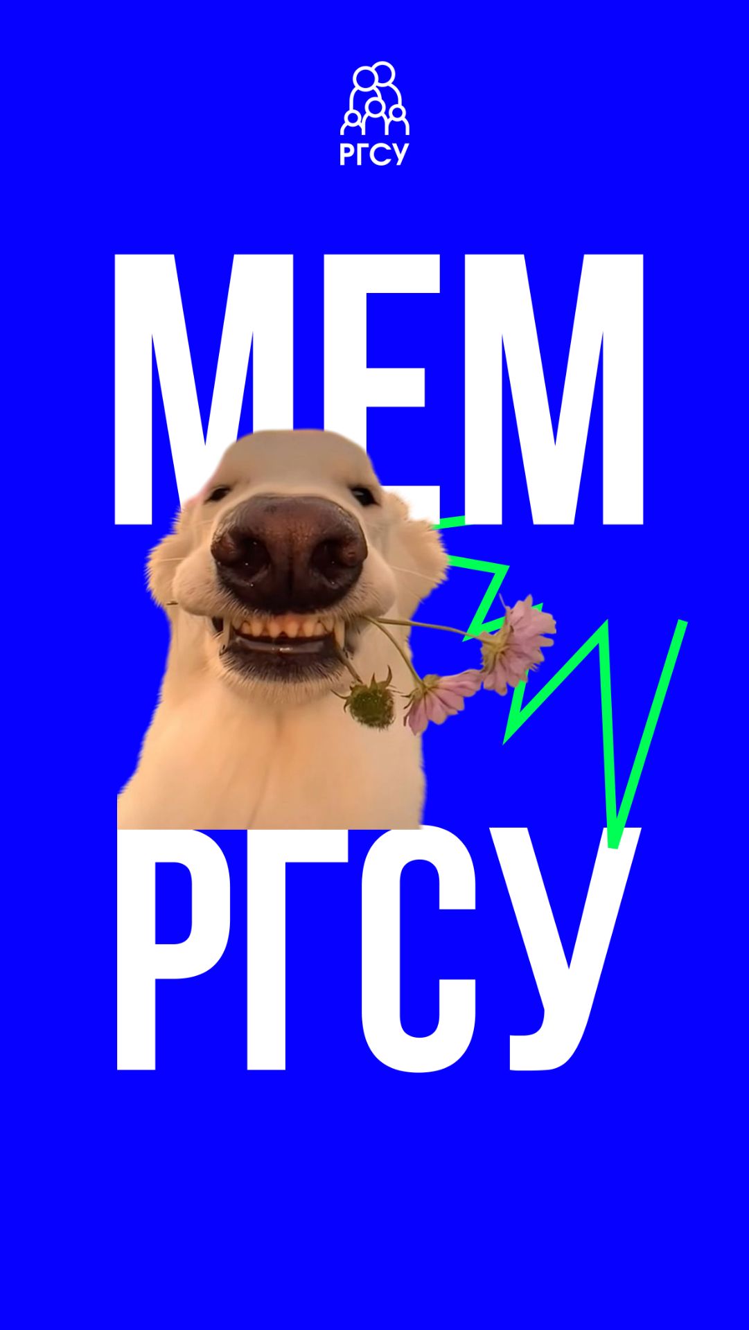 Даже у белок появилось новогоднее настроение ❤️ смотреть онлайн