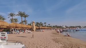 Прощаемся с Шармом: ЕДА в Sharm Holiday Resort 4* и легендарный Naama Bay! | ПОДВОДИМ ИТОГИ