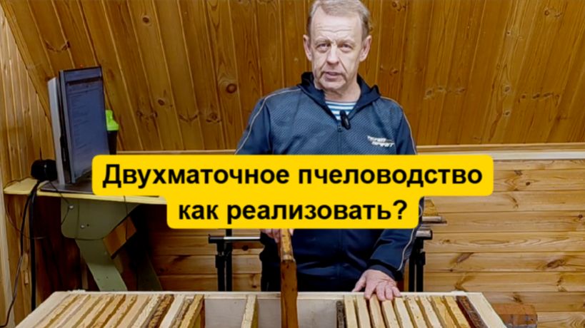Двухматочное пчеловодство в ульях-лежаках возможно, как реализовать и эффективность смотреть онлайн