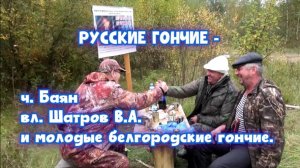 РУССКИЕ ГОНЧИЕ - ч. Баян вл. Шатров В.А. и молодые белгородские гончие.#охотасгончей #топ #hunting