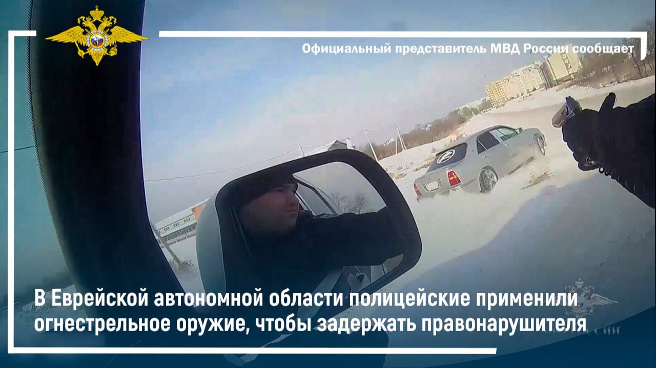 В ЕАО полицейские применили огнестрельное оружие, чтобы задержать правонарушителя смотреть онлайн