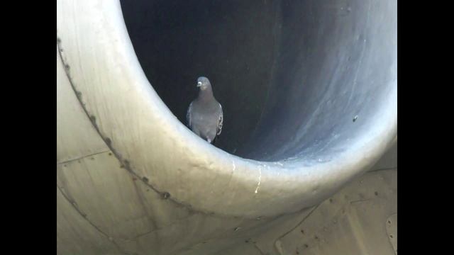 МУЗЫКА НЕБА или АВИАГОРОДОК смотреть онлайн