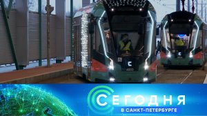 «Сегодня в Санкт-Петербурге»: 24 декабря 2025 года