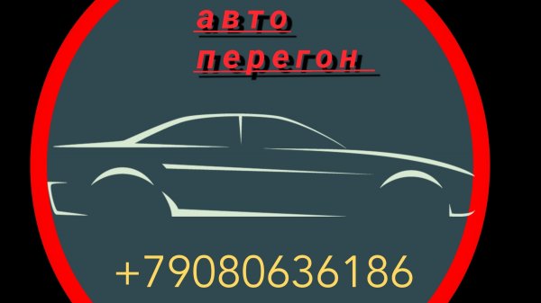 FREED PLUS ,готовлюсь в перегон