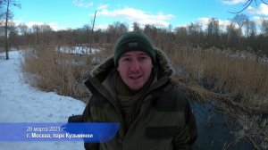 Пастушок жив