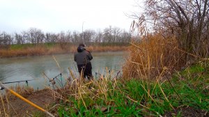 РЫБАЛКА НА ТЕПЛОМ КАНАЛЕ !!!