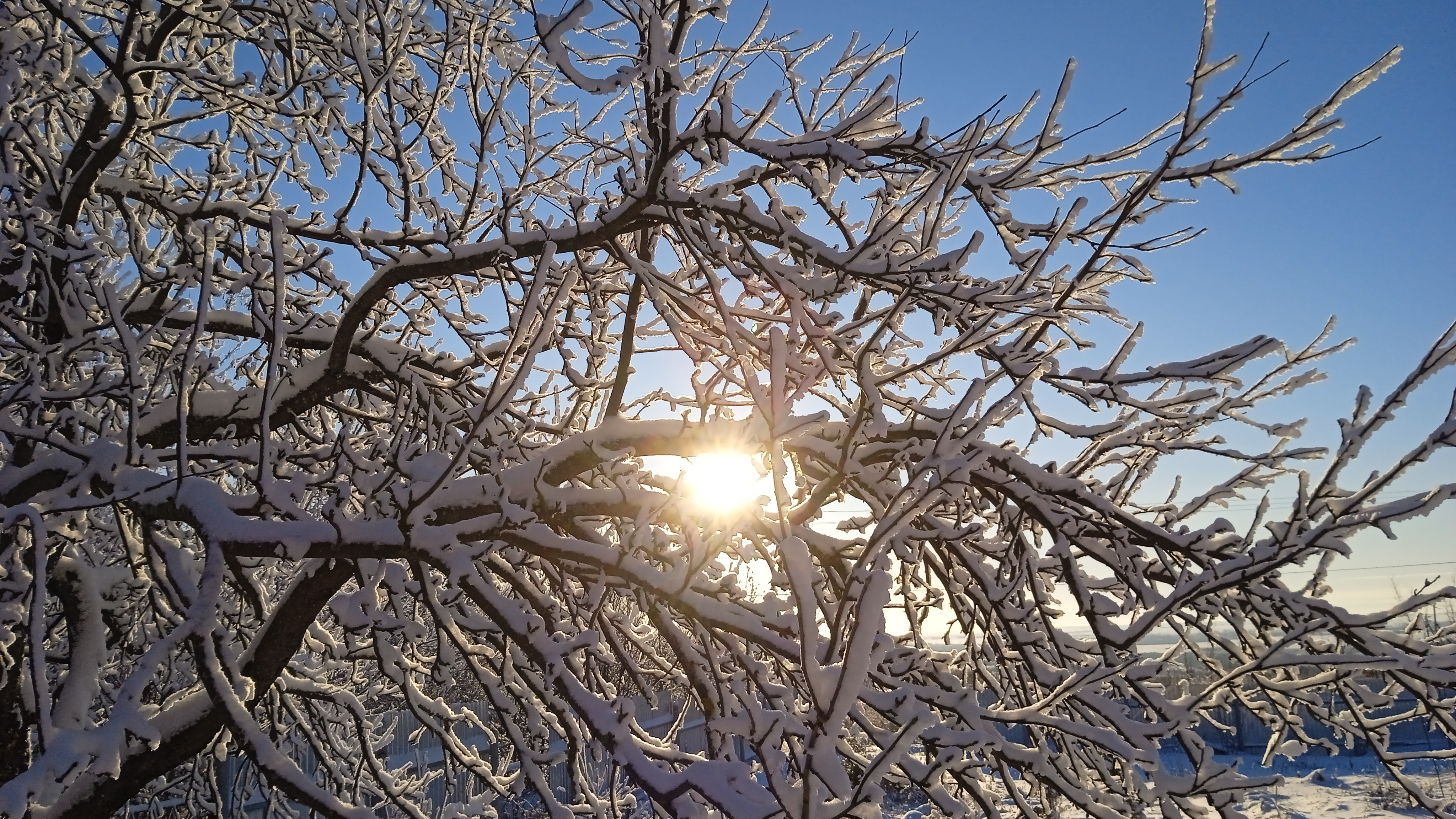 Погода и теплица 24 декабря, Пензенская область, сегодня -22° смотреть онлайн