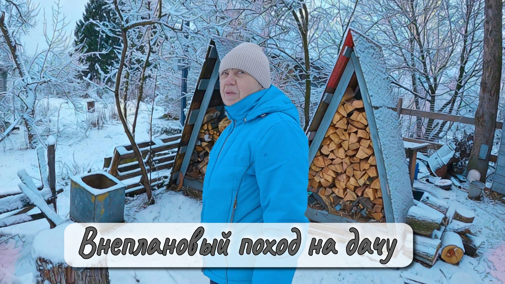 ВНЕПЛАНОВЫЙ ПОХОД НА ДАЧУ смотреть онлайн