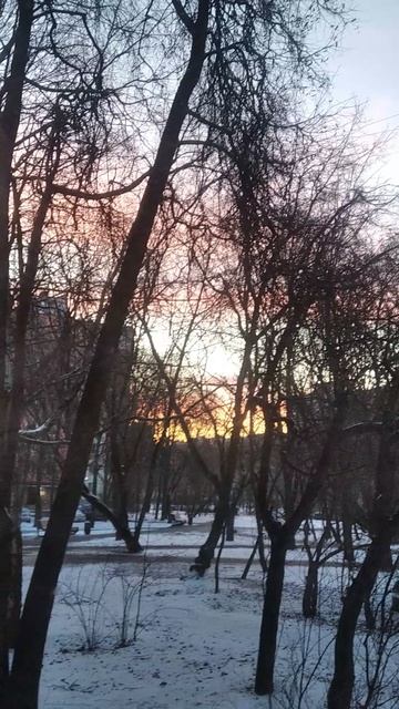 Красивый рассвет в декабре.