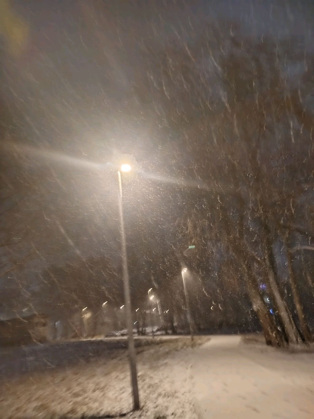 братт смотреть онлайн