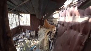 ЗДЕСЬ_ЖИЛИ_СОВСЕМ_НЕДАВНО_Старинное_заброшенное_село_ТАПТЫКИ