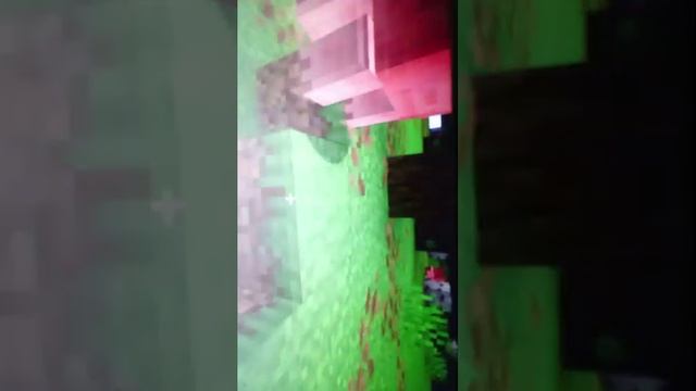 выживаю 100 дней