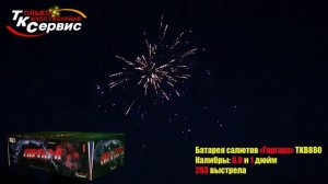 Батарея салютов Гаргара (веер) (294/1; 1.2) TKB880
