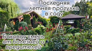 Последняя летняя прогулка. Баковая смесь для ухода за розами