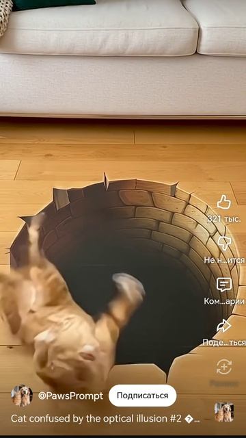 реакция котика на коврик дыру😂