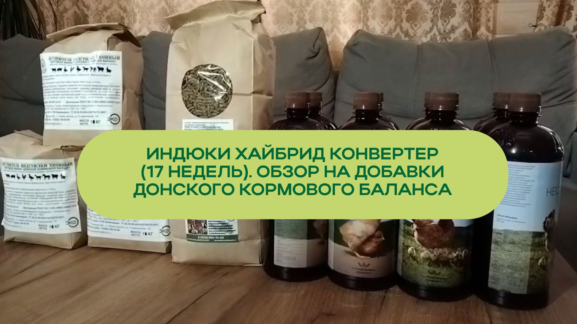 Индюки Хайбрид Конвертер 17 недель | Обзор добавок ДКБ смотреть онлайн