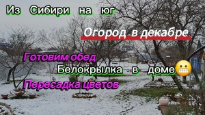 24-12-2025 Жизнь на юге/Переезд из Сибири на юг/Огород зимой/Обед/Подвал/Цветы/Уборка/Белокрылка //