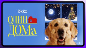 Догументалка «Один дома» | С 26 декабря в Okko