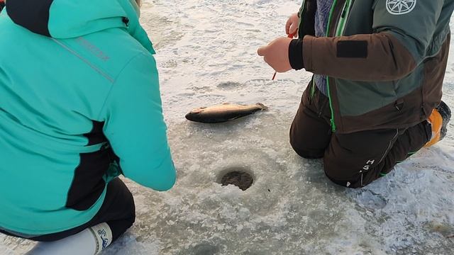 Основной водоём. смотреть онлайн