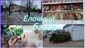 Покупка семян.Елочный базар.Обзор покупок