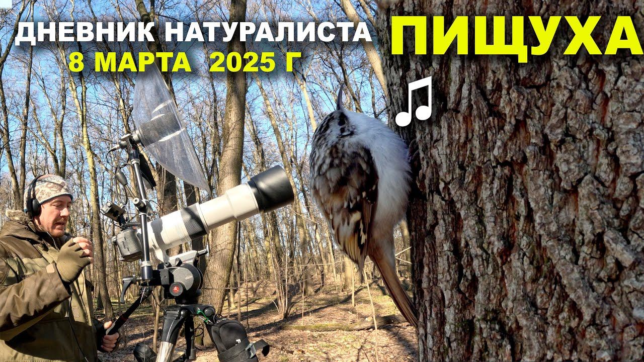 Дневник натуралиста. 8 марта 2025 г. смотреть онлайн