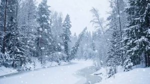 Зимний лес. Снегопад. Видео на фон