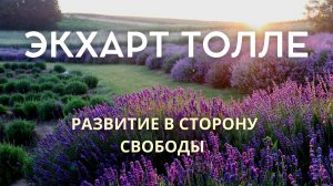 Развитие в сторону свободы. Экхарт Толле