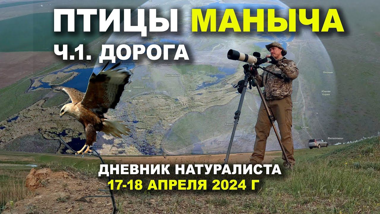Птицы Маныча. 1. Дорога смотреть онлайн