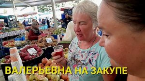 МАТУШКА ПЫТАЕТСЯ ЭКОНОМИТЬ