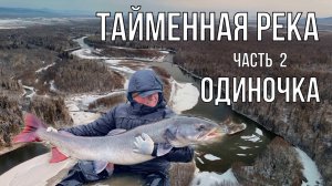 Тайменная река - Часть 2 - Одиночка (таймень, рыбалка)