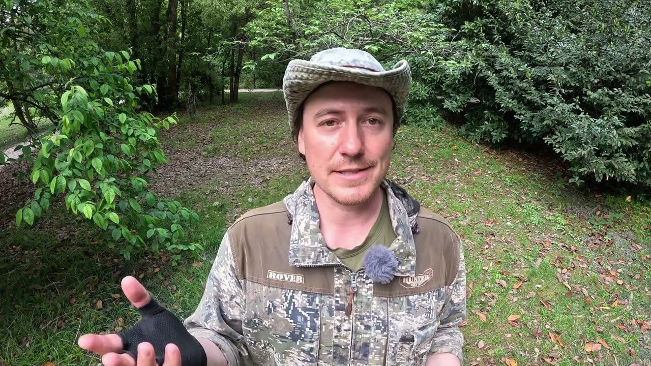 Черноголовый чекан. Сочи, Адлер. Дневник натуралиста. 8 мая 2024 смотреть онлайн