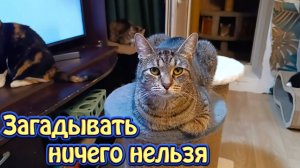 Загадывать ничего нельзя.