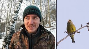 Дневник натуралиста. Голос чижа и других пичуг