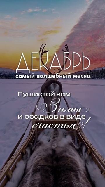 Декабрь смотреть онлайн