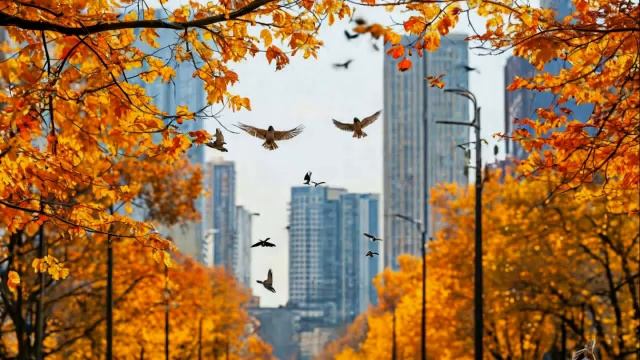 Люблю я музыку дождя смотреть онлайн