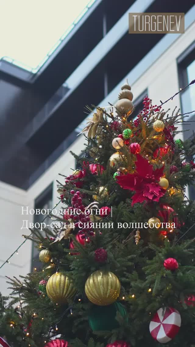 Новогодние огни | Двор-сад в сиянии волшебства