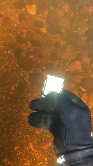 РЕЧНЫЕ СОКРОВИЩА