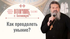 У великого Бога нельзя просить мелкие вещи. Вторник с батюшкой. Беседа с от. Андреем 23.12.25