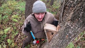 ПИЩУШНИК - домик для Пищухи. Как сделать, куда повесить?