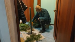 "Дед Мороз"собирает ёлку. Покупки.Товары с WB. Жизнь станичная на пенсии.