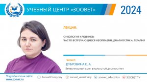 Дубровина Е. А. в УЦ «Зоовет» 22.04.2024