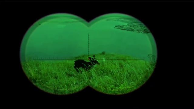 Детский садик для собак. Кинолог Игорь Алтайский.