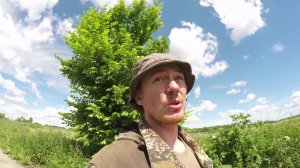 Сенокос и птицы