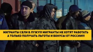 МИГРАНТЫ СЕЛИ В ЛУЖУ!!! МИГРАНТЫ НЕ ХОТЯТ РАБОТАТЬ А ТОЛЬКО ПОЛУЧАТЬ ЛЬГОТЫ И БОНУСЫ ОТ РОССИИ!!!