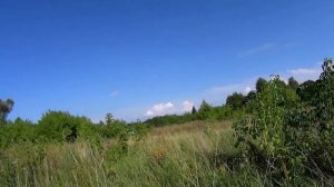 Вымирающая деревня Рязанщины. Каково жить здесь_ Последний житель деревни. Десятки брошенных домов.